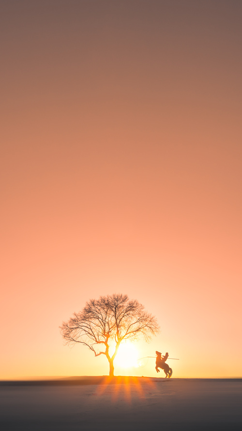 2026世界杯焦点战,北京队强行终结上海队,中国德比引爆全球热潮