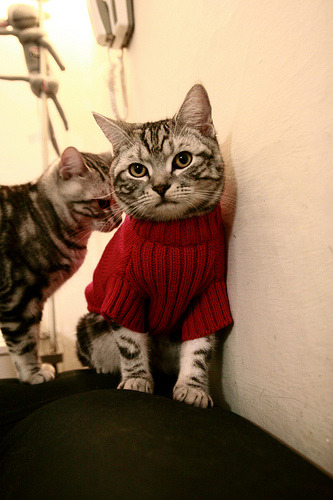 核爆与绞杀，詹姆斯持续制造杀伤的背后，是快船如何系统性瓦解吉林队