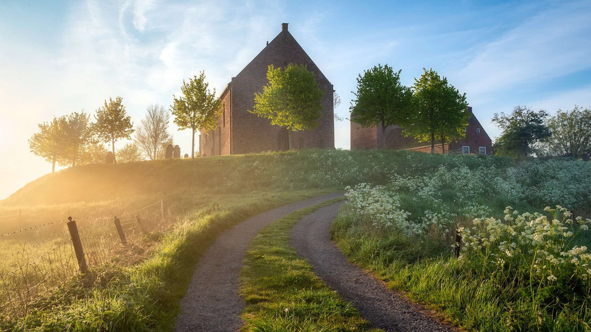 统治全场，托尼闪耀，墨西哥加时力克喀麦隆