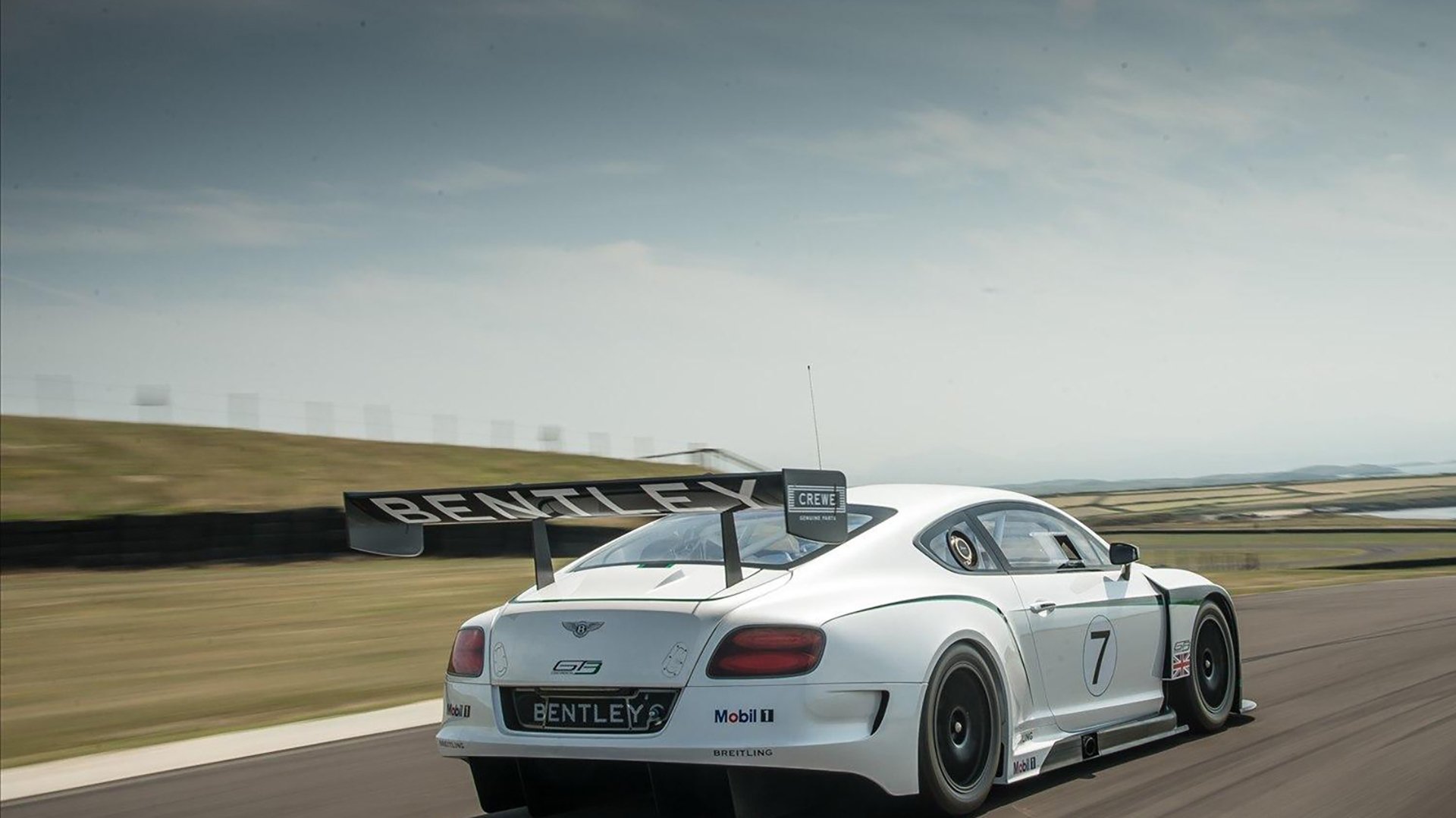 国王对阵浙江队,武切维奇关键篮板与封盖锁定胜局