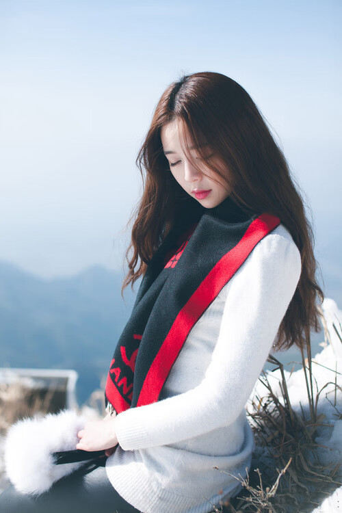 北境铁壁!黄蜂的终极武器戈贝尔,让骑士的无解之谜有了最终答案