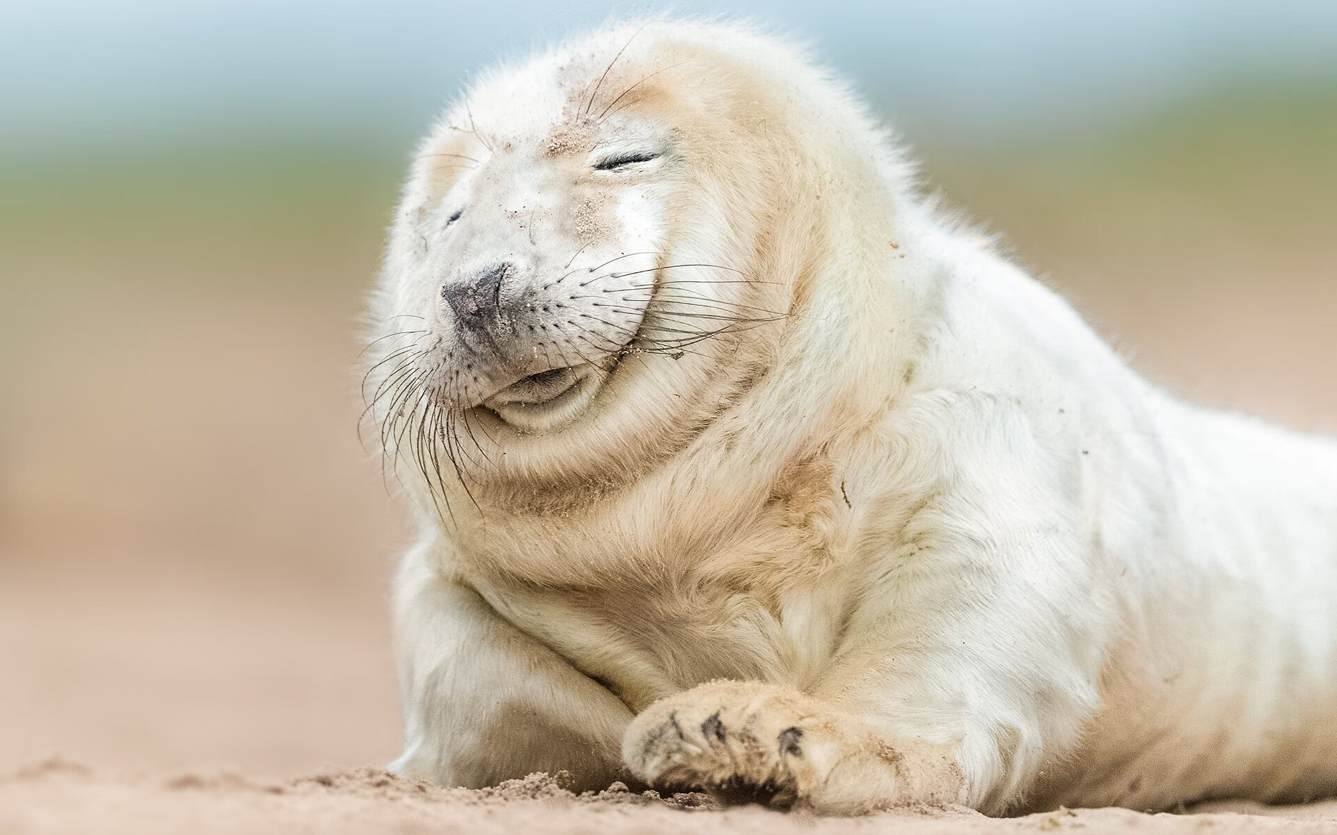 天使入场，当姆巴佩在NBA总决赛之夜改写巴黎命运