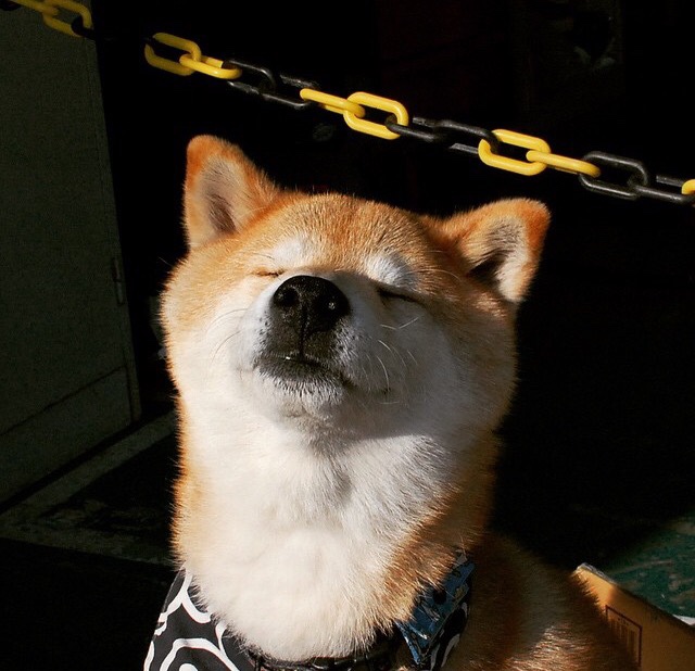 意外之喜，丹麦爆冷瑞典，恩佐从替补变关键先生