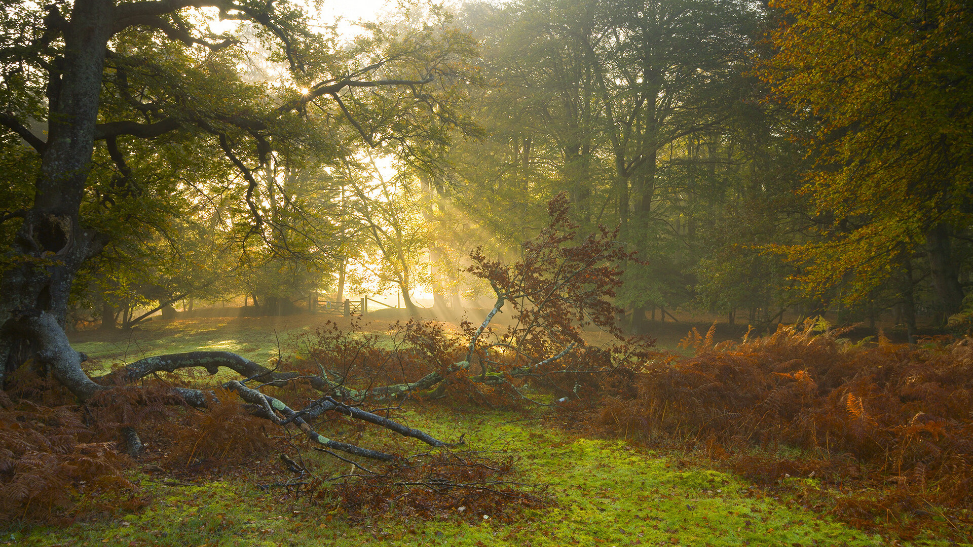 伊萨克时刻,当完美成为唯一的答案