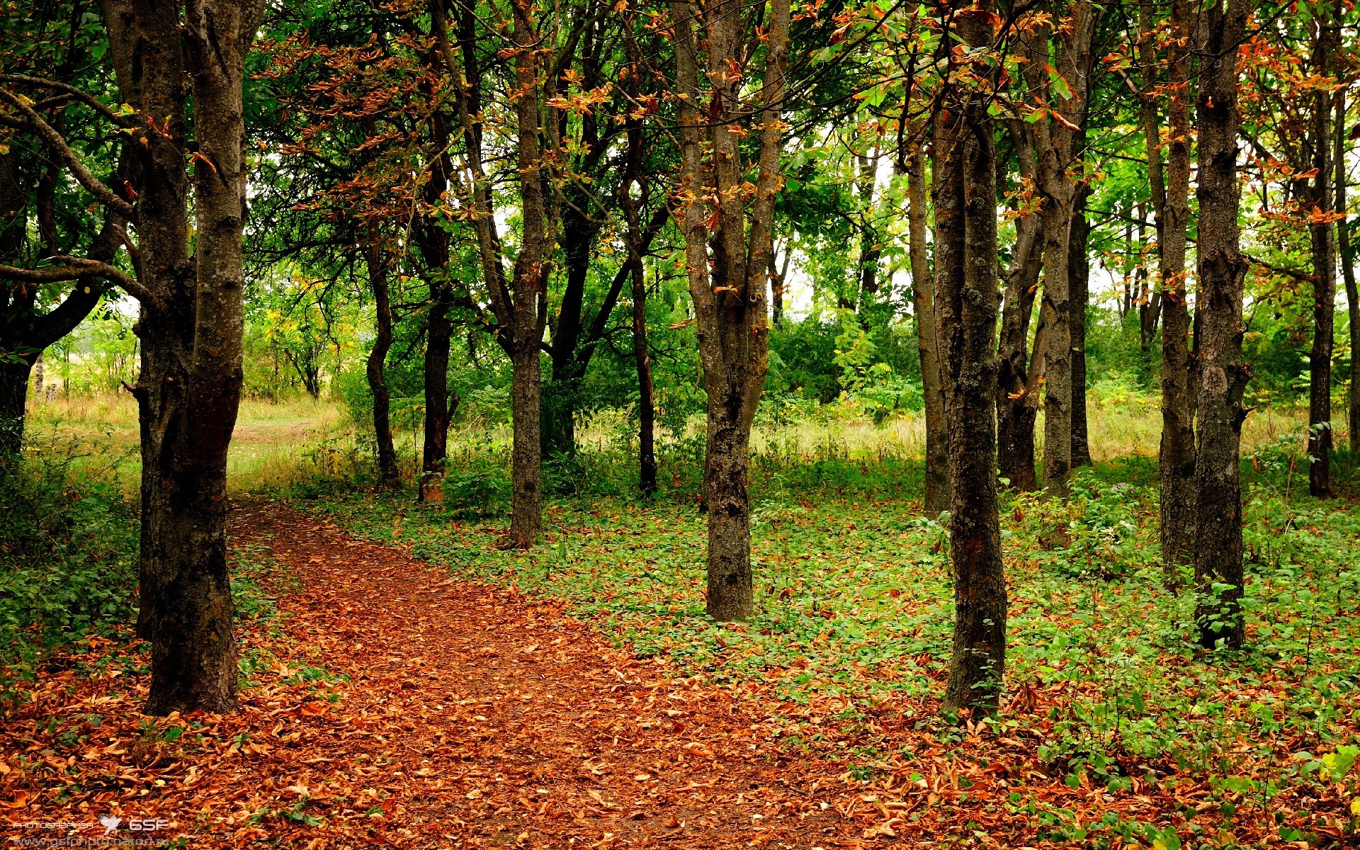 冰与火之歌,武切维奇的炽热表演与凯尔特人的冷静封锁