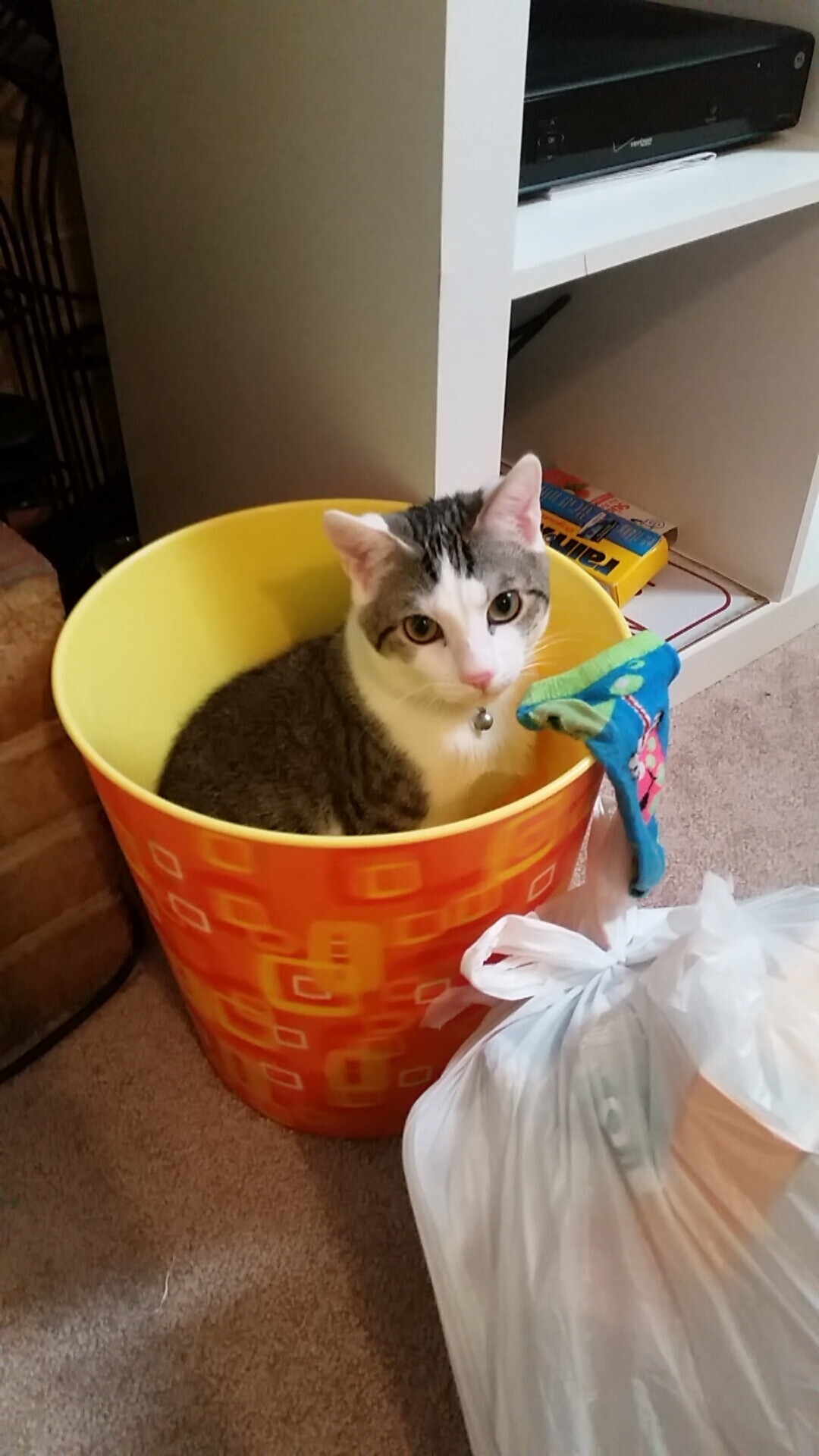 永恒与意外,当托尼的利刃刺穿时间,里昂的狂想曲震动欧洲