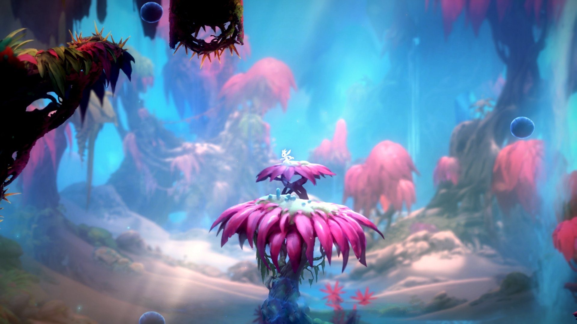 穿越隔阂的弧线，门迪一球联结多特蒙德与阿尔及利亚的夜晚