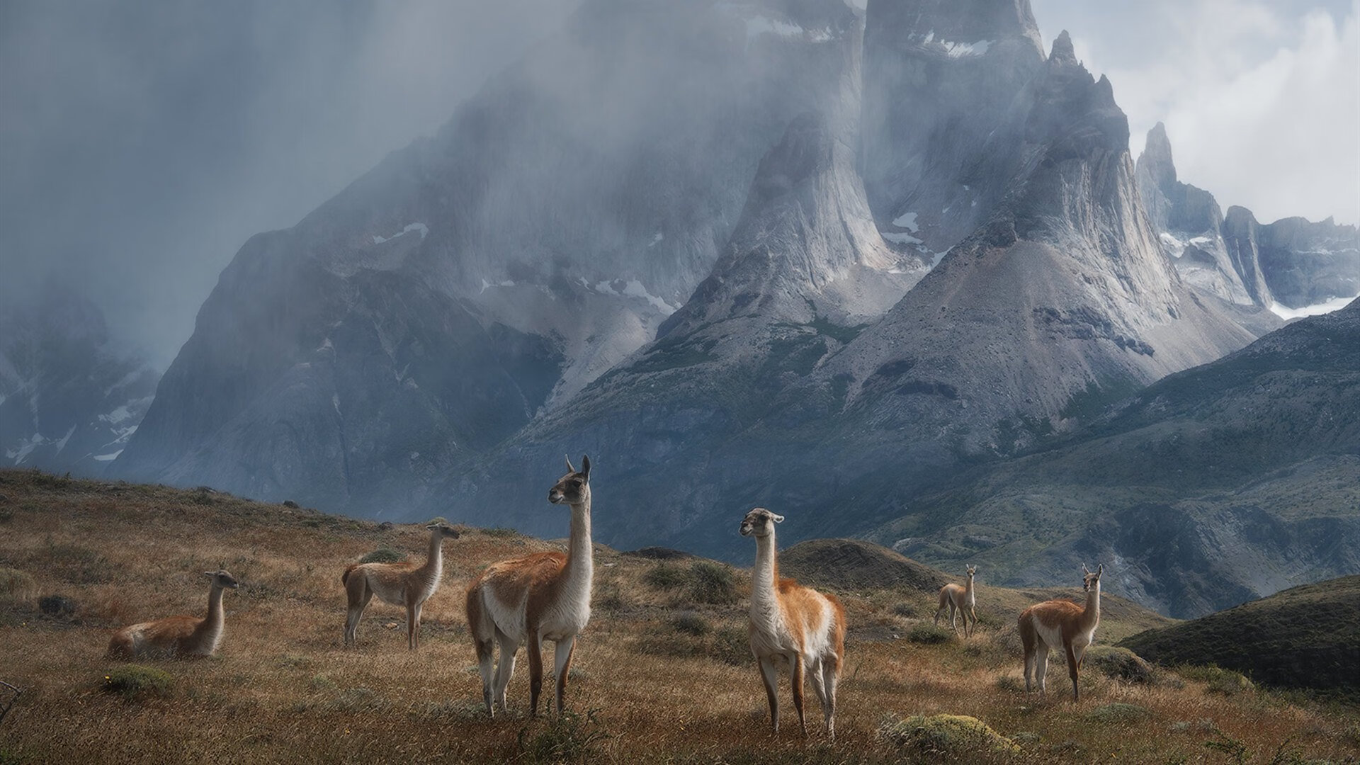 战术棋局下的个人英雄主义，格列兹曼致命一刀，黄色潜水艇险破马竞铁幕
