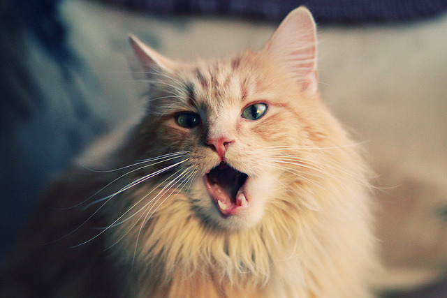 暗夜疾走，梅西如何成为拜仁加时取胜挪威的隐形引擎？