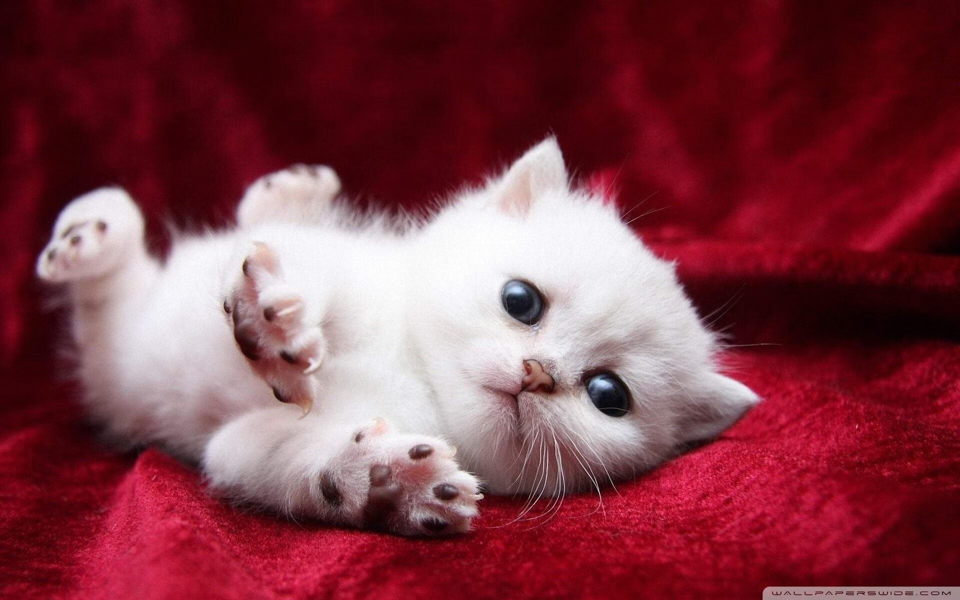 战术棋手or命运齿轮?巴斯托尼隔空助攻改写死亡之组结局