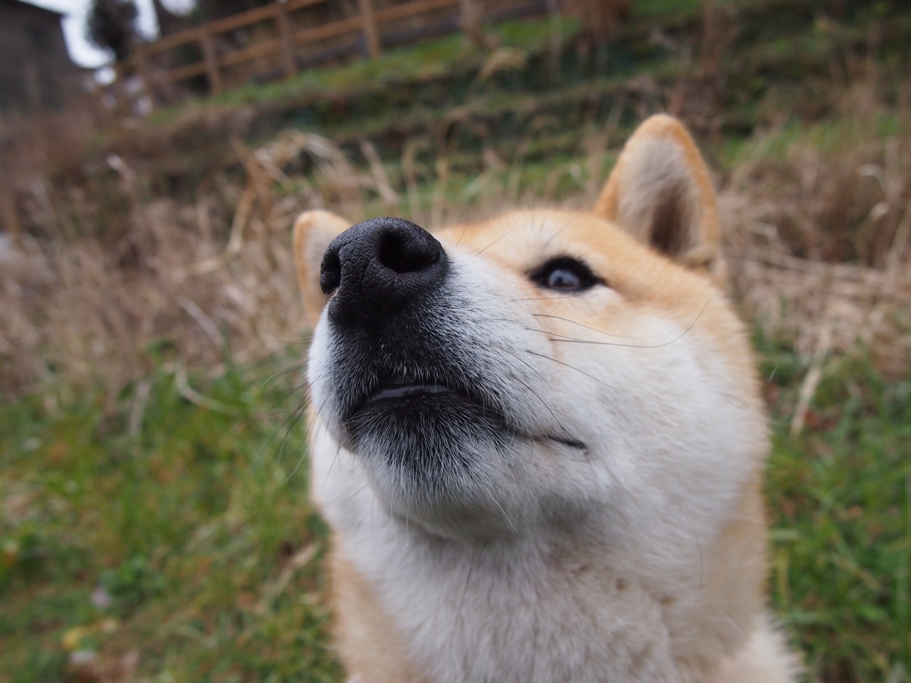 选择一,直指核心)