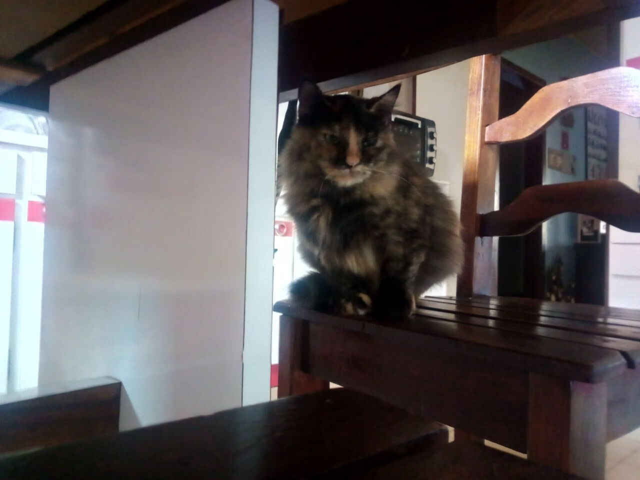 沙漠之风卷过高地雾,当摩洛哥的生死战,预言了C罗的时光征服